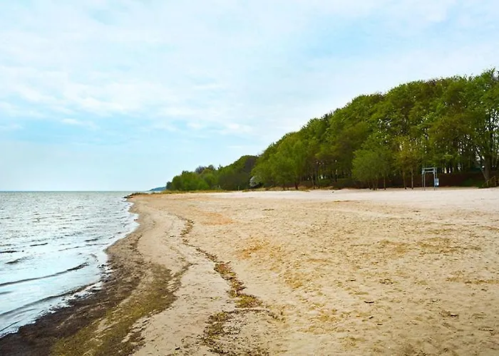 Przestronny I Nowoczesny Puck